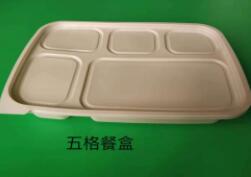 一次性蜜桔视频APP污破解版下载
