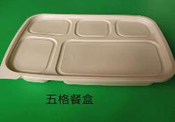 一次性蜜桔视频APP污破解版下载