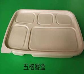 一次性蜜桔视频APP污破解版下载
