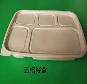 一次性环保蜜桔视频APP污破解版下载